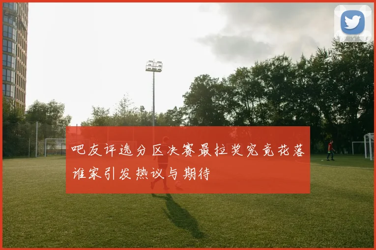 吧友评选分区决赛最拉奖究竟花落谁家引发热议与期待